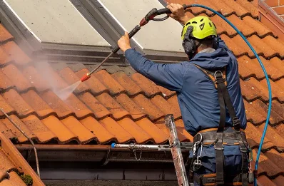 Démoussage et hydrofuge de toiture à Pont-de-Poitte